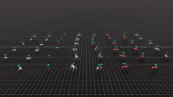Multi-Robot Training